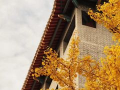 -四川大学(华西校区)