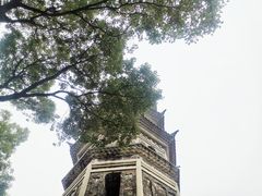 -苏州上方山国家森林公园