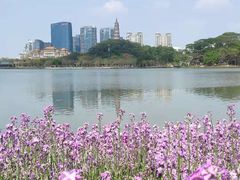 -顺峰山公园