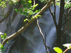 -黑龙潭风景区