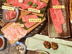 -老乾杯(深圳湾万象城店)