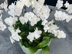 -京兆尹(雍和宫店)