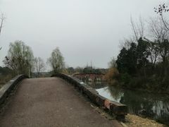 -白鹭湾湿地公园