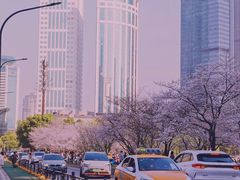 -西北湖绿化广场