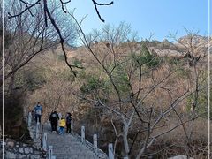 -北京凤凰岭