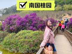 -南国桃园旅游度假区