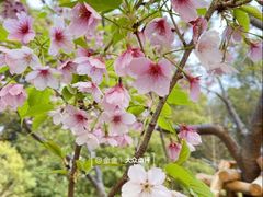 -梁鸿国家湿地公园