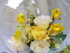 -花到家(富贵鸟花艺行)