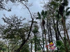 -人民公园(罗湖区)