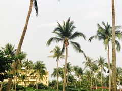 -三亚亚龙湾天域度假酒店