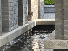 -颐和路民国时期公馆风貌区
