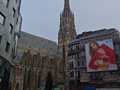 -斯蒂芬主教座堂(Stephansdom)