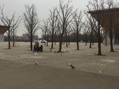 -法门文化景区