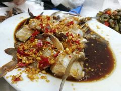 -老三鱼仔店