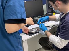 -申普宠物医院·心脏介入·心血管微创(总院)