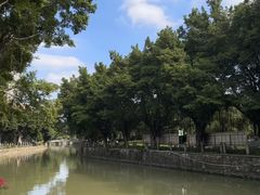 -晓港公园