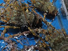 -徐记海鲜(大雁塔|金都店)