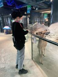 -酷嗒动物文化乐园(cutezoo西溪乐天城店)