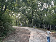 -上海佘山国家森林公园西佘山园