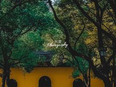 -西园戒幢律寺