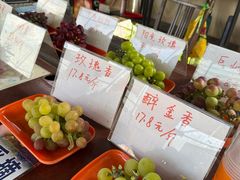 -马陆小张葡萄园农家乐