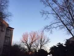 -东北大学(南湖校区)