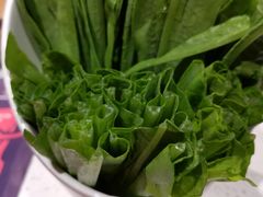 油麦菜-牛村来人潮汕牛肉火锅(西单店)