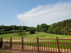 -棒棰岛宾馆景区