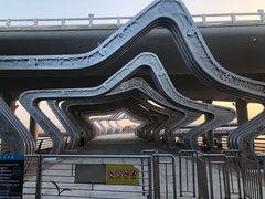 -演武大桥观景平台