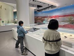 -盐城丹顶鹤湿地生态旅游区