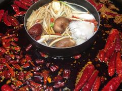 -重庆渝达老火锅(春熙路店)