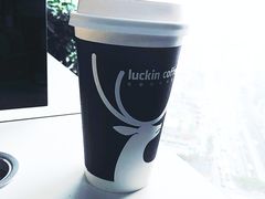 -瑞幸咖啡(第一城店)