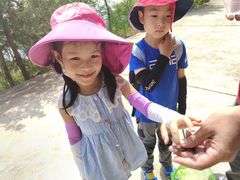 -大觉寺-停车场