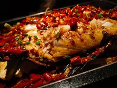 湄公鱼-炉鱼(萧山万象汇店)