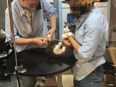 -悠尼宠物·独立低压伊珊娜洗护·美容·寄养(兰谷路店)