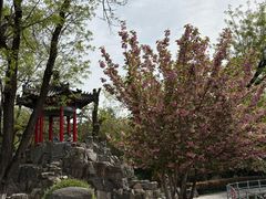 -莲湖公园