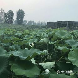 67673人均变态_中国人均寿命变化图(2)