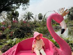 -海南热带野生动植物园