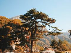 -秦岭终南山世界地质公园翠华山景区