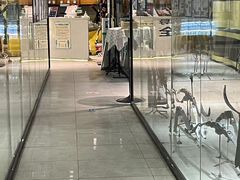 -弓夫射箭·运动娱乐·团建(中心印象城店)