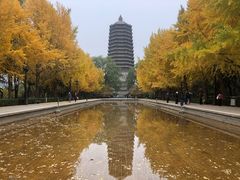 -玲珑塔公园