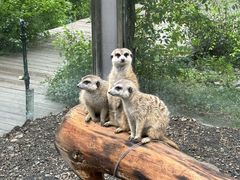 -水上乐园·欢乐世界