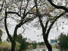 -星湖旅游景区七星岩