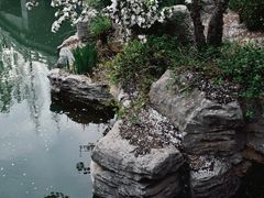 -济南大明湖景区