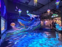 -顺德南宏海立方海洋公园