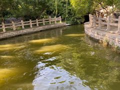 -济南大明湖景区