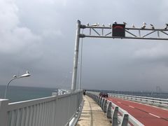 -星海湾跨海大桥