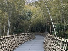-福道