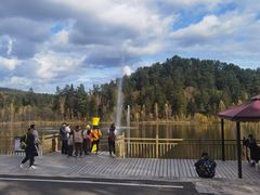 -五营红松林海景区