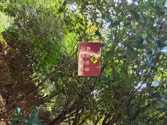 -桃花岭景区